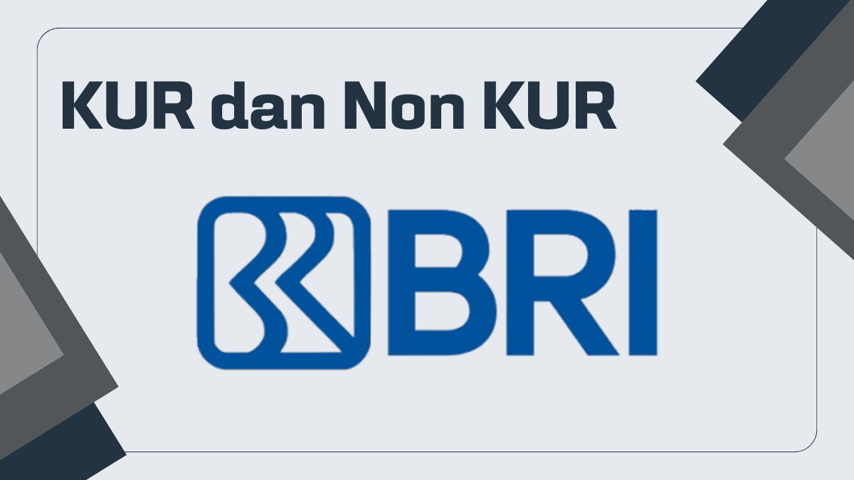 Kur bri 2025