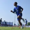 Persib