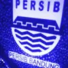 Persib Dapatkan Eks Kapten Utrecht U-21