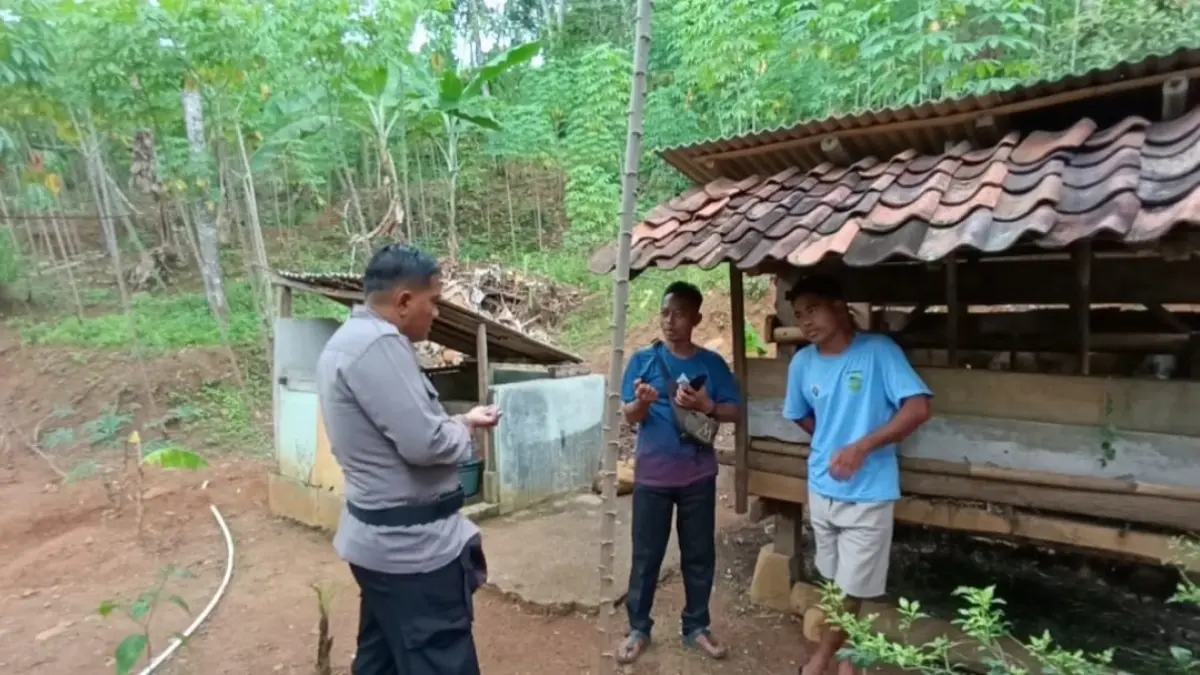 Anjing Liar Teror Warga Karangjaya