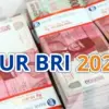 KUR BRI 2025