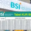 KUR BSI 2025