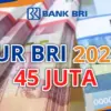 KUR BRI 2025