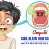 Bau Mulut