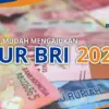 KUR BRI 2025