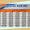 Kur bri