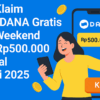 Klaim Saldo DANA Gratis