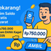 Cara Klaim Saldo DANA Gratis
