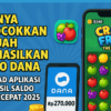 Aplikasi Penghasil Saldo DANA Tercepat 2025