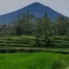Pendakian Gunung Cikuray via Tapak Gerot