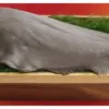 Mengenal Ikan Halibut (instagram.com @masterchefina)
