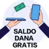 Saldo DANA