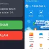 Dana gratis