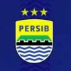 Tim Persib