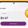 aplikasi survey penghasil uang terpercaya