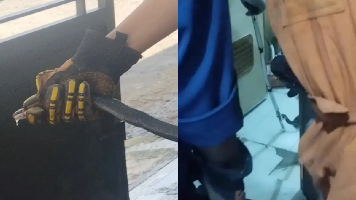 Petugas damkar kota tasikmalaya, ular masuk rumah, perum baitul jannah