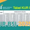 KUR BSI 2025