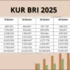 KUR BRI