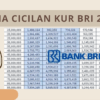 KUR BRI 2025