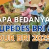 Kupedes BRI 2025