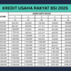 KUR BSI