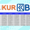 Kur bri 2025