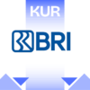 Kur bri