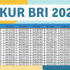 Kur bri 2025