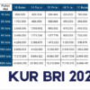 KUR BRI