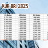KUR BRI 2025