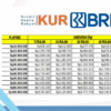 KUR BRI 2025