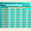 Kur bsi 2025