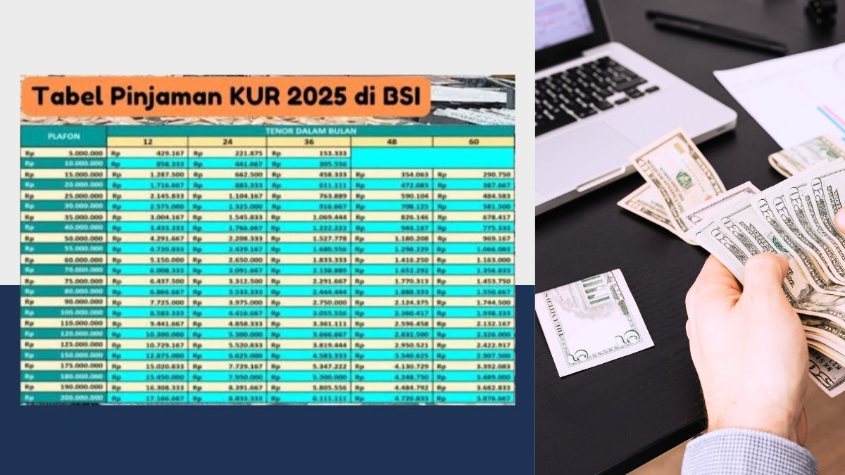Kur bsi 2025