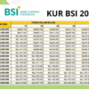 KUR BSI