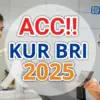 KUR BRI 2025