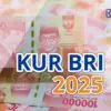 KUR BRI 2025