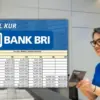 KUR BRI 2025