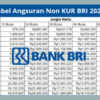 Non KUR BRI