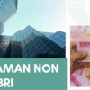 Non KUR BRI