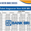 Kur bri 2025