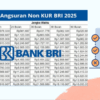 Non KUR BRI