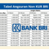 Non KUR BRI