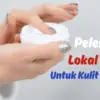 Pelembap