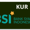 Kur bsi