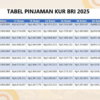 Kur bri 2025