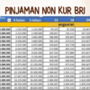 Non KUR BRI