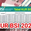 KUR BSI 2025