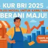 Tabel Angsuran KUR BRI 2025