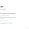 KUR BRI