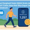 Aplikasi Penghasil Saldo DANA